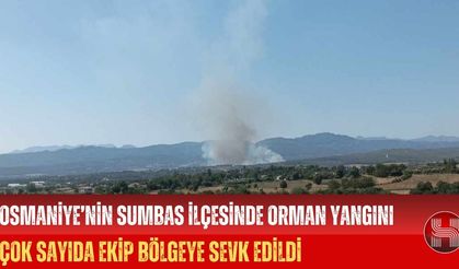 Osmaniye’nin Sumbas İlçesinde Orman Yangını