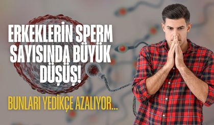 Erkekler dikkat! Her gün yediğiniz şey sperm sayınızı düşürüyor