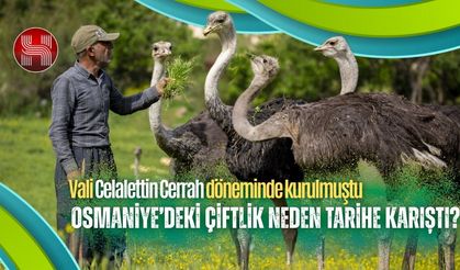 Osmaniye’deki Devekuşu çiftliği neden başarısız oldu? Nerede Yanlış yapıldı?