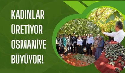 Kadınlar Üretiyor Osmaniye Büyüyor! Osmaniye Bahçe’de Ceviz Hasadı Başladı