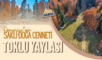 Osmaniye’nin Saklı Doğa Cenneti Toklu Yaylası