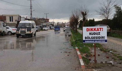 Hatay’da 4 mahalle kuduz nedeniyle karantinaya alındı