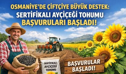 Osmaniye'de Çiftçiye Büyük Destek: Sertifikalı Ayçiçeği Tohumu Başvuruları Başladı!