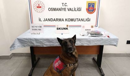 Osmaniye İl Jandarma Komutanlığı Bir Haftalık Bilançoyu Açıkladı: 123 Olay, 99 Gözaltı