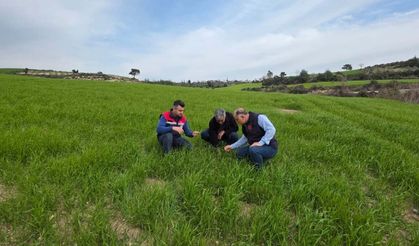 Osmaniye İl Tarım’dan Bitki Sağlığı İçin Yakın Takip