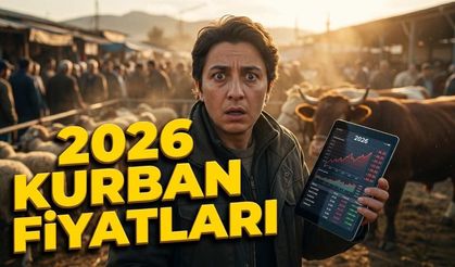 2026 Kurbanlık Fiyat Listesi Belli Oldu İşte İl İl En Ucuz Rakamlar