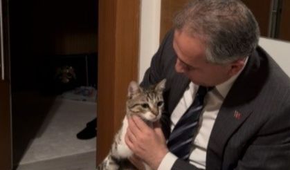 Başkan Çenet Anahtarı Unuttu, Kapıyı Kedisi Fred Açtı!