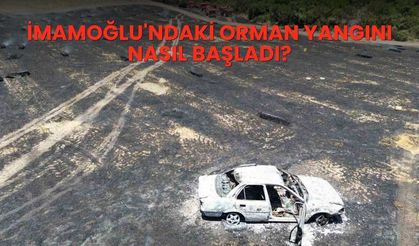 İmamoğlu'ndaki orman yangını nasıl başladı?