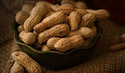 Altın Değerindeki Lezzet! Osmaniye Fıstığı Taban Fiyatta mı?