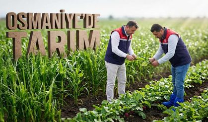 Osmaniye’de En Çok Hangi Tarım Ürünleri Yetişir?