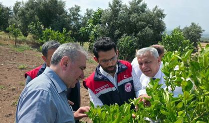 Osmaniye Tarımında Doğa Dostu Yeni Dönem Başladı