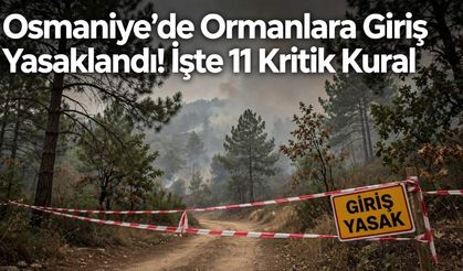 Osmaniye'de Ormanlara Giriş Yasaklandı! İşte 11 Kritik Kural