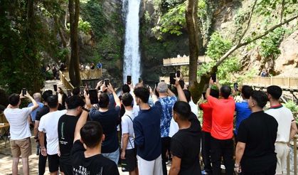 Türkiye'nin Dört Bir Yanından Geldiler, Osmaniye'ye Vurulup Gittiler