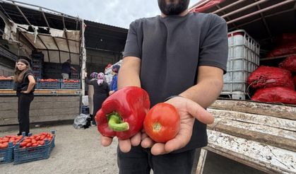 Osmaniyeliler Sebze Hali’ne Akın Etti! İşte Kışlık Biber ve Domates Fiyatları