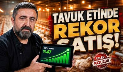 Tavuk Eti ve Yumurtada Üretim Rekorları Haziran Ayı Verileri Netleşti