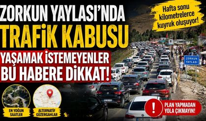 Zorkun Yaylası'nda Trafik Kabusu Yaşamak İstemeyenler Bu Habere Dikkat!