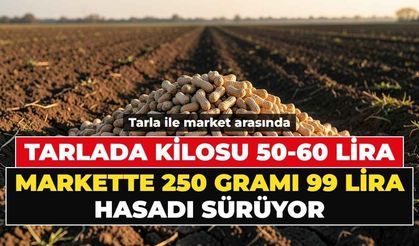 Osmaniye'de hasat başladı: Tarlada 60, markette 400 lira