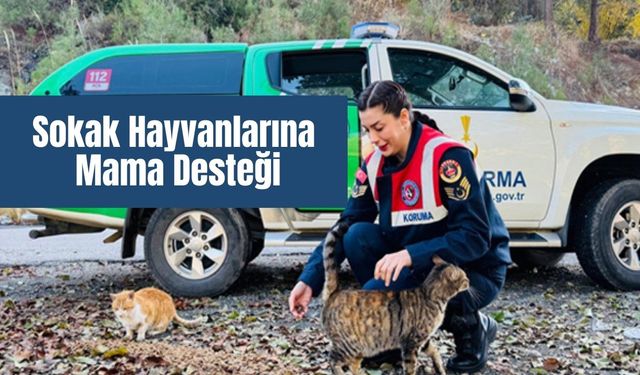 Osmaniye'de Jandarmadan Sokak Hayvanlarına Mama Desteği