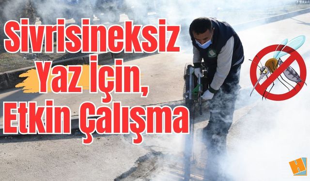 Osmaniye'de Sivrisineksiz Yaz İçin, Kışlık Etkin Çalışma