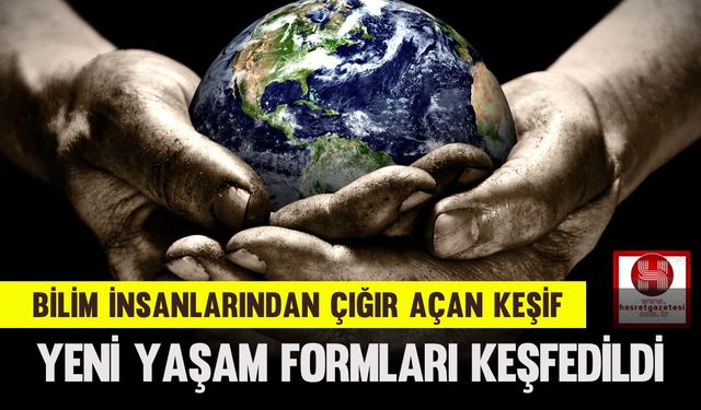 Bilim İnsanlarından Çığır Açan Keşif, Yeni Yaşam Formları Keşfedildi