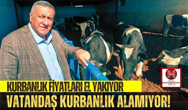 Besici Zorda, Vatandaş Kurbanlıkta!