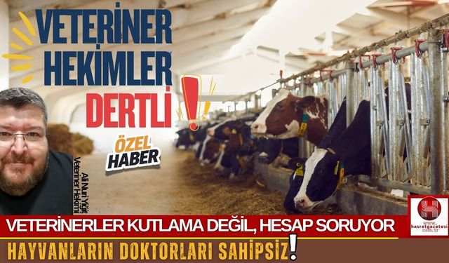 Kutlama Değil İsyan, Veterinerler Yeter Diyor!
