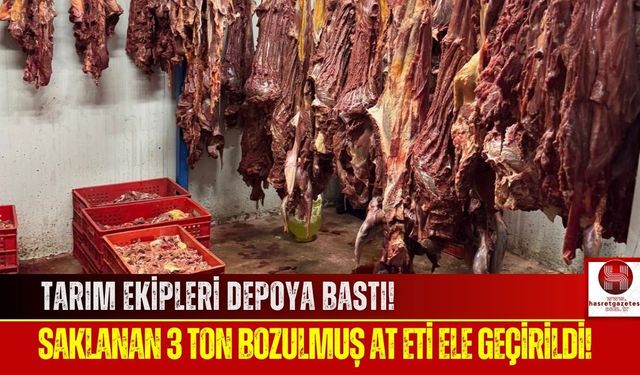 Adana'da Mühürsüz ve Çürük 3 Ton Et Yakalandı!