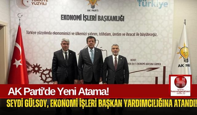 Seydi Gülsoy, Ekonomi İşleri Başkan Yardımcılığına Getirildi!