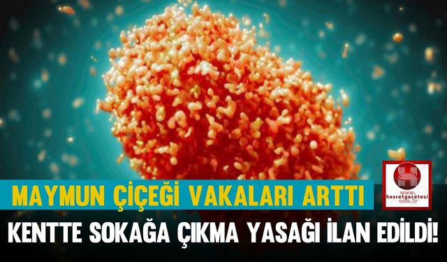 Maymun Çiçeği Vakaları Arttı, Bacur'da Sokağa Çıkmak Yasaklandı