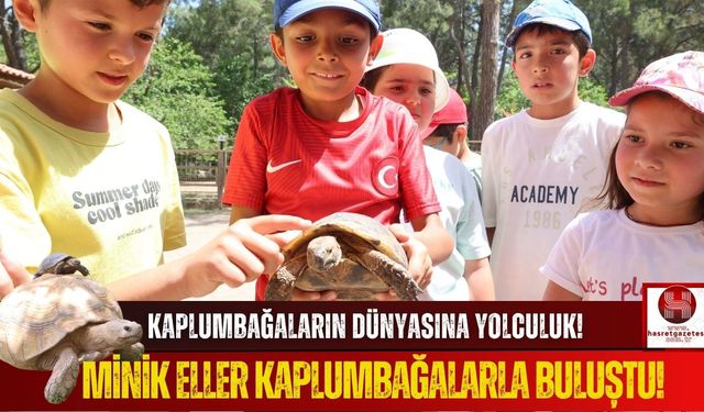 Dünya Kaplumbağa Günü’nde Çocuklar Hem Öğrendi Hem Eğlendi!