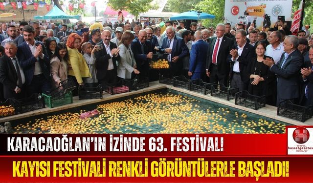 Mut’ta 63 Yıllık Geleneğin Coşkusu! Kayısı Festivali Başladı!