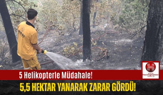 Çıkan Orman Yangınında 5,5 Hektar Alan Zarar Gördü!