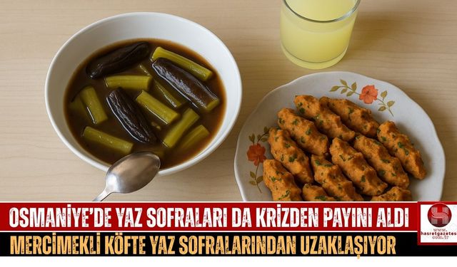 Osmaniye’de Yaz Menüsü Bile Emekliye Ağır Geliyor