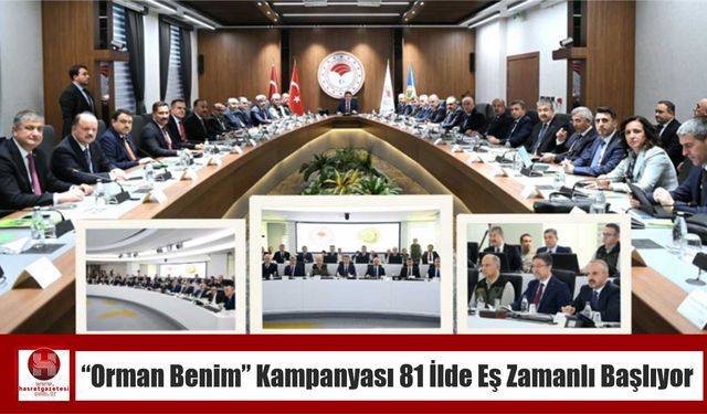 Orman Benim” Kampanyası 81 İlde Eş Zamanlı Başlıyor