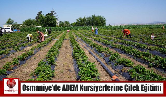 Osmaniye’de ADEM Kursiyerlerine Çilek Eğitimi