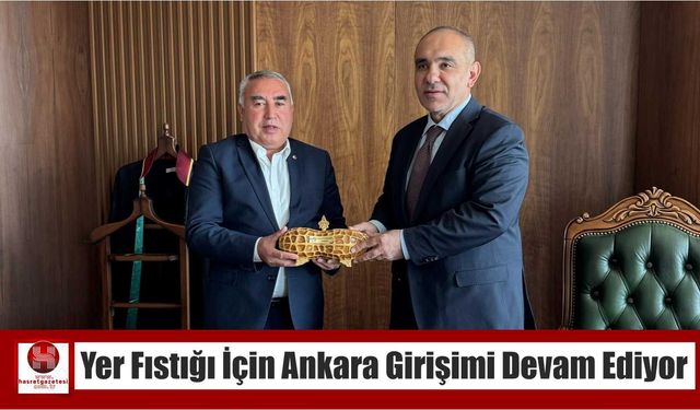 Yer Fıstığı İçin Ankara Girişimi Devam Ediyor