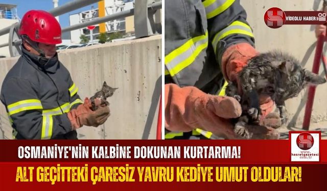 Osmaniye'de Alt Geçitte Sıkışan Kedi Yavrusu Kurtarıldı!