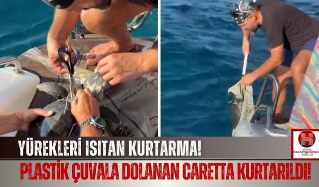 Amatör Balıkçıların Duyarlılığı Carettayı Kurtardı!