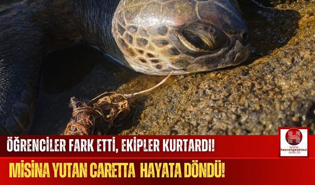 Öğrencilerin Dikkati ve Ekiplerin Çabasıyla Bir Caretta Daha Kurtuldu!