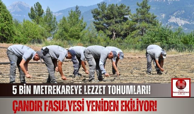 Çandır Fasulyesi İçin Ekim Sezonu Açıldı!