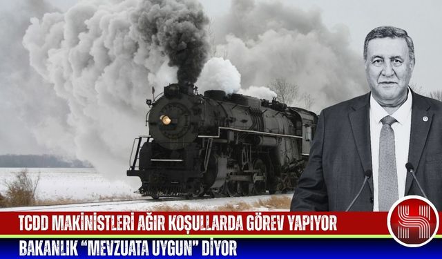 Gürer: “Taşeron çalışma sistemi modern köleliktir”