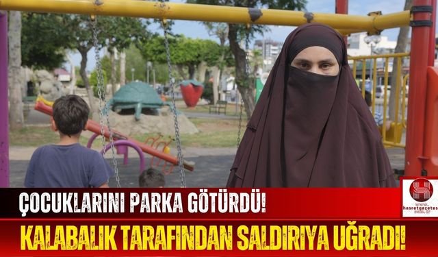 Anne ve 2 Çocuğu Parkta Saldırıya Uğradı!