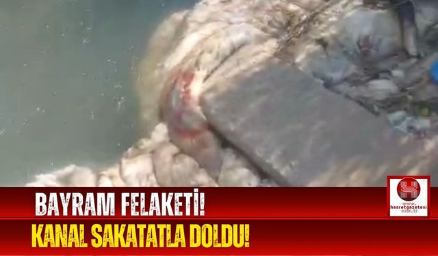 Kurban Artıkları Sulama Kanalını Zehir Etti!