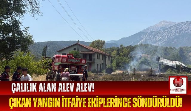 Karataş Mevkii'nde Çalılık Alan Alevlere Teslim Oldu!