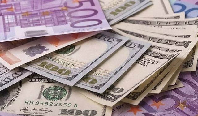 Doların kaderi belli oldu: Merkez Bankası bu rakama kadar yükselecek dedi