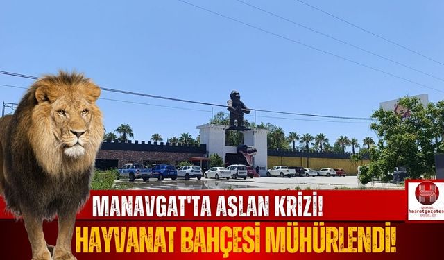 Kaçan Aslanın Bulunduğu Hayvanat Bahçesi Mühürlendi!