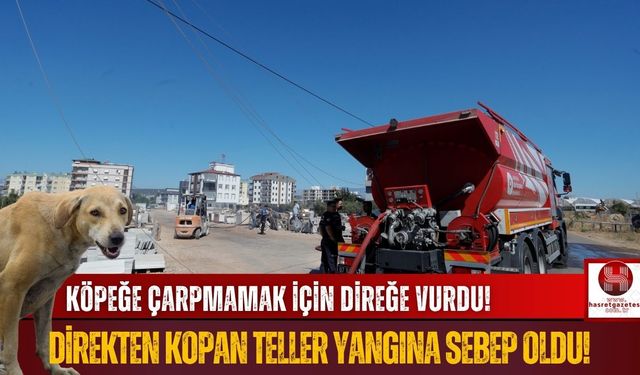 Köpeğe Çarpmamak İçin Direğe Vurdu! Yangın Çıkardı!