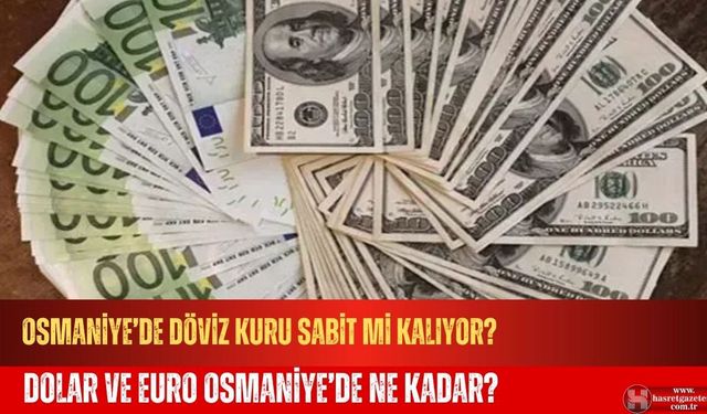 Dolar ve Euro Osmaniye’de Ne Kadar?(13 Temmuz 2025)