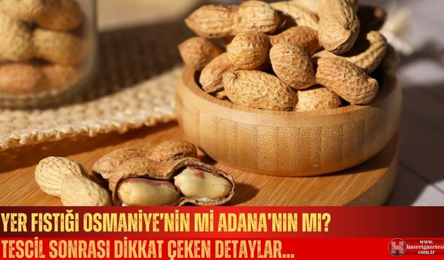 Yer fıstığı Osmaniye’nin mi Adana’nın mı? Tartışma büyüyor!