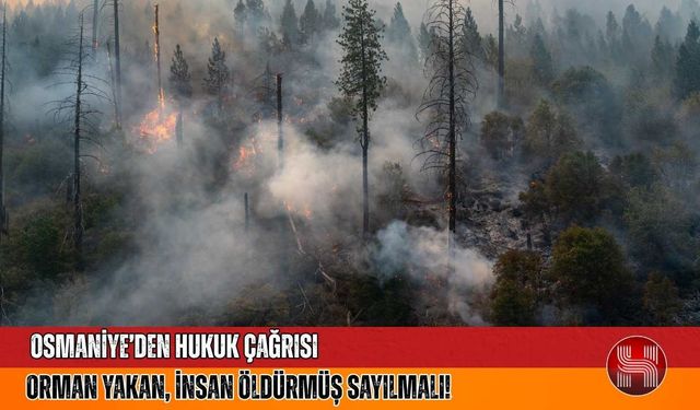 Bursa’daki yangına tepkiler çığ gibi: Osmaniye “en ağır ceza” dedi